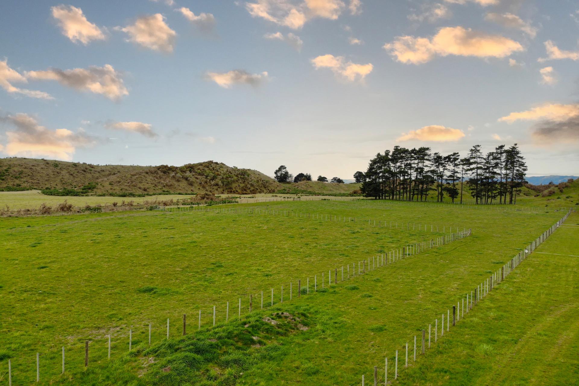 720 Himatangi Block Road, Foxton