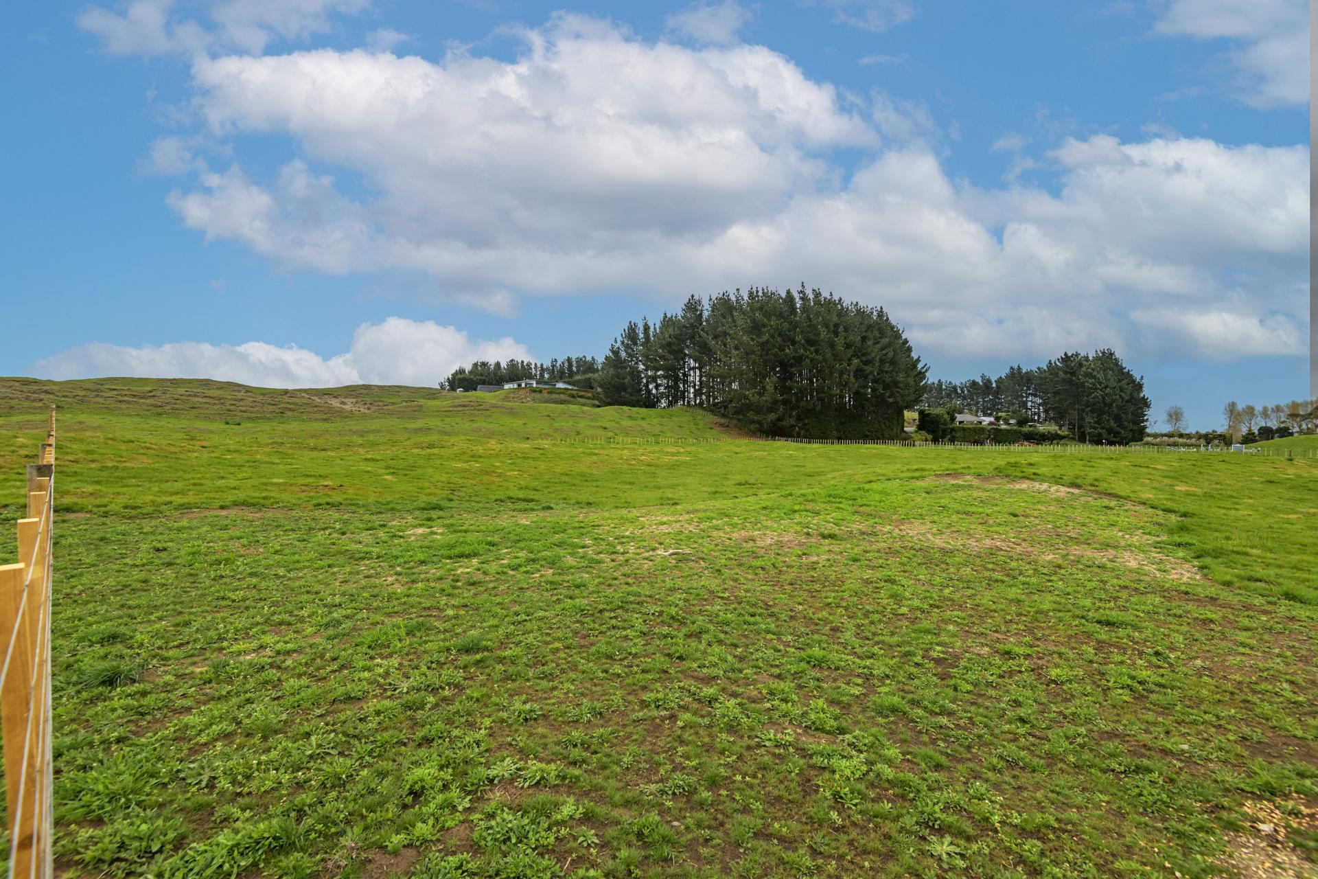 Bainesse Road Sections, Rangiotu