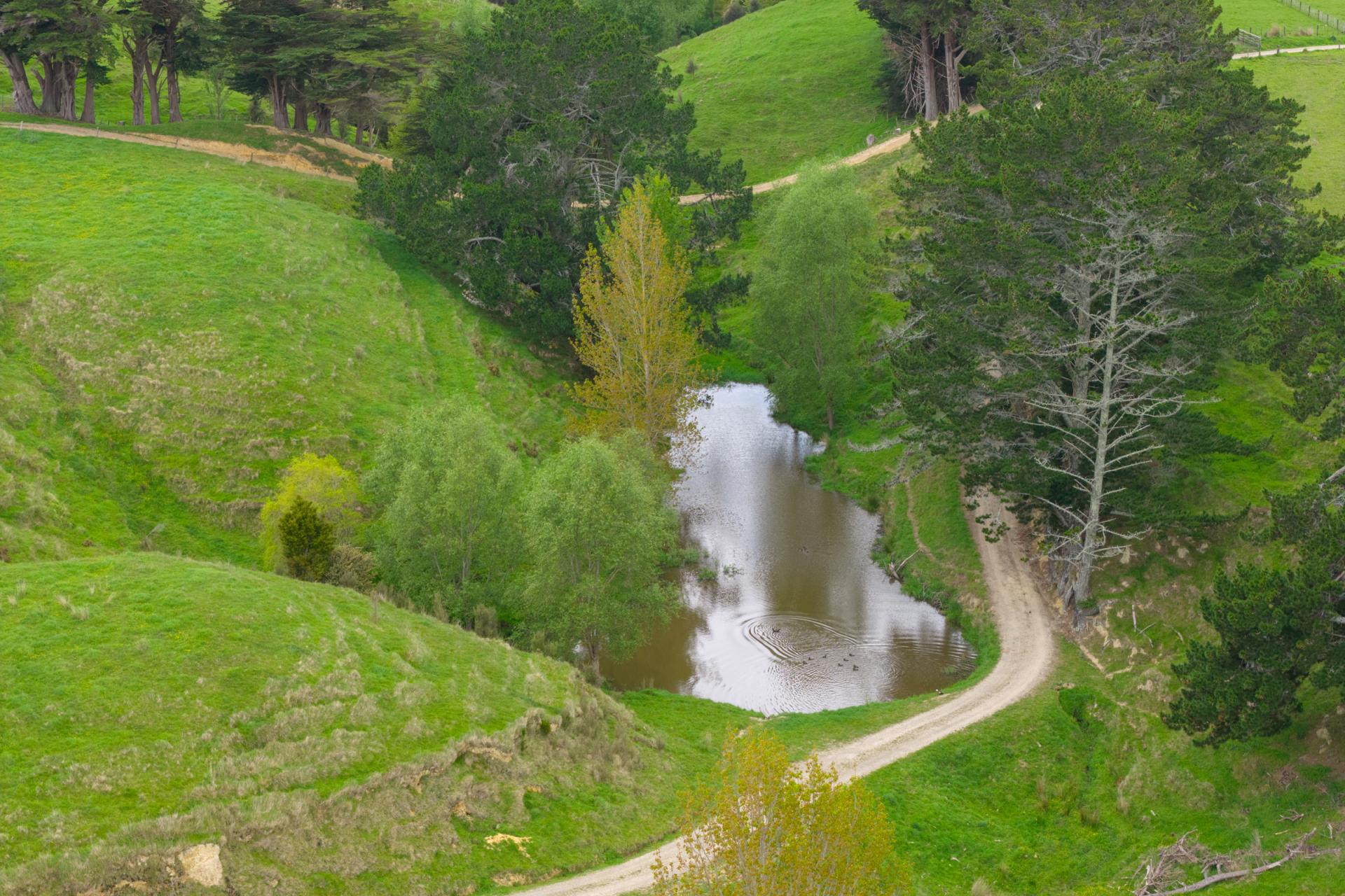 158 Pahiatua Aokautere Road, Aokautere