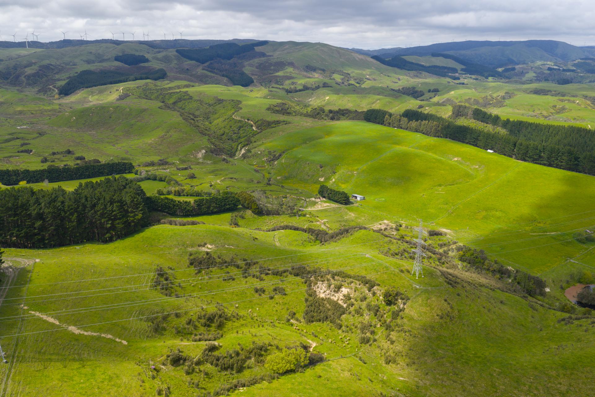 158 Pahiatua Aokautere Road, Aokautere