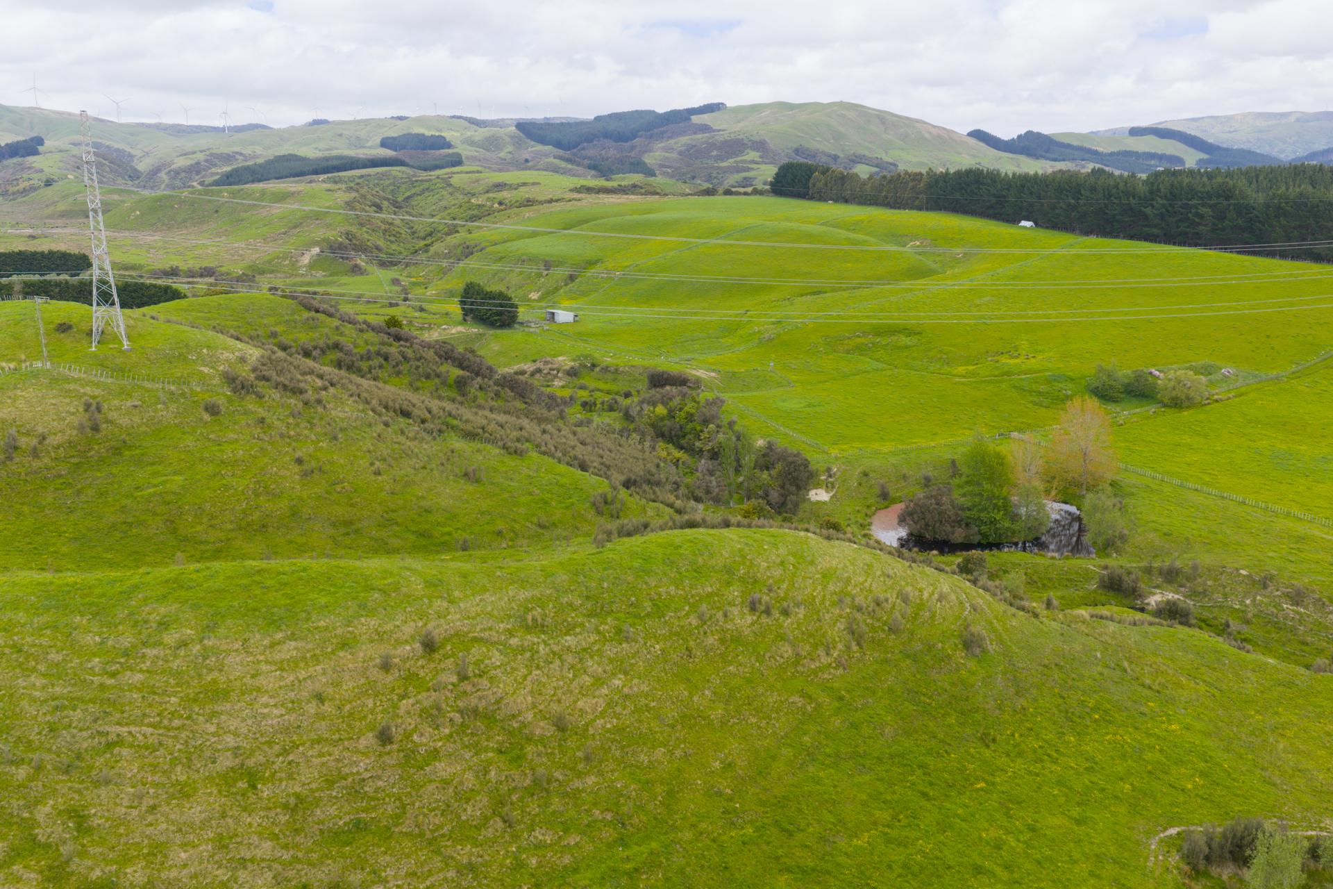 158 Pahiatua Aokautere Road, Aokautere