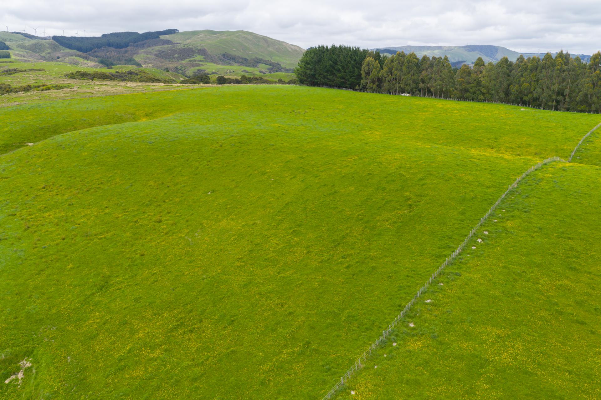 158 Pahiatua Aokautere Road, Aokautere