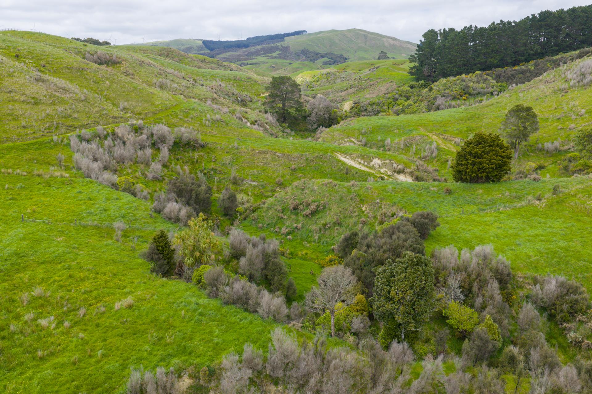 158 Pahiatua Aokautere Road, Aokautere