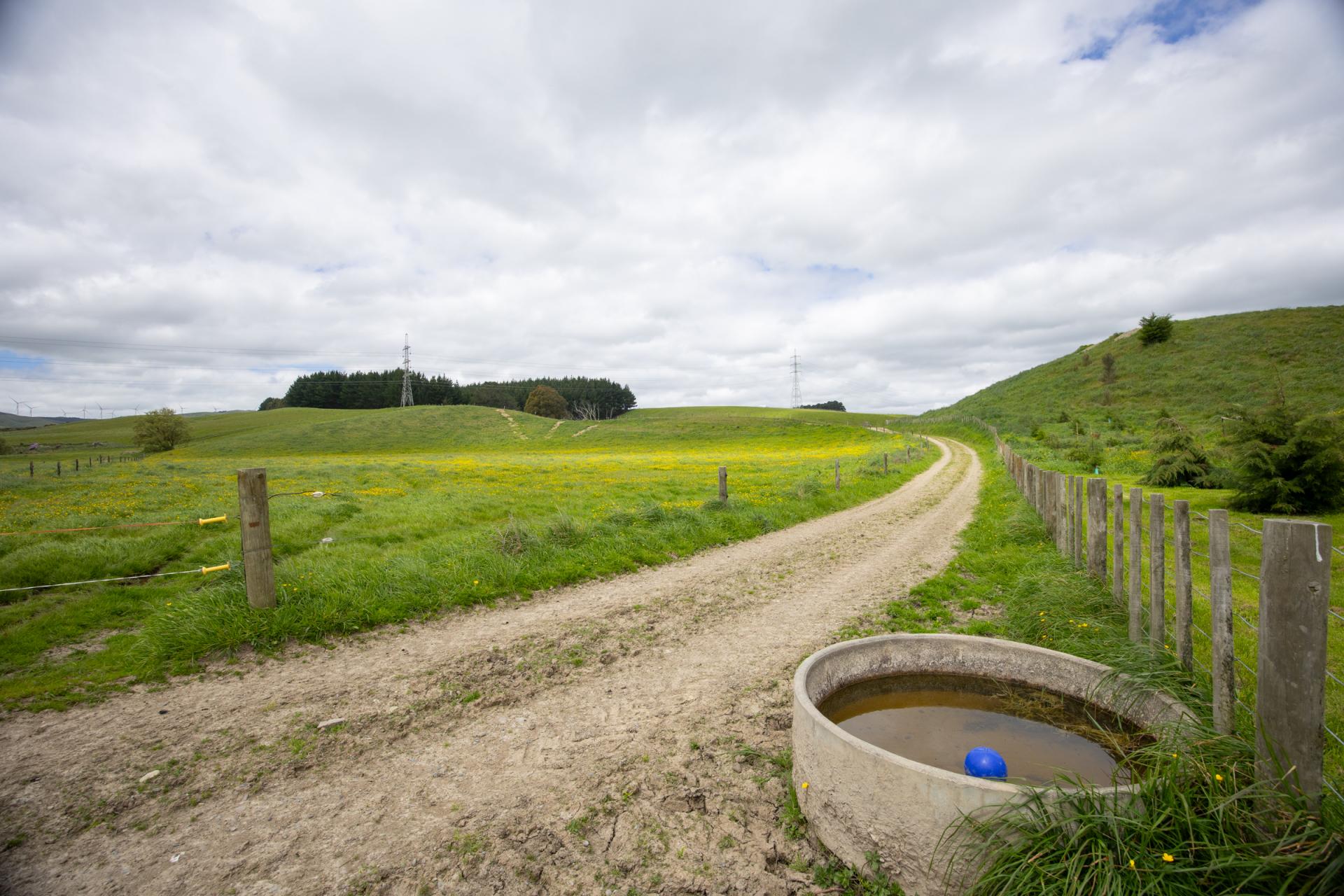 158 Pahiatua Aokautere Road, Aokautere