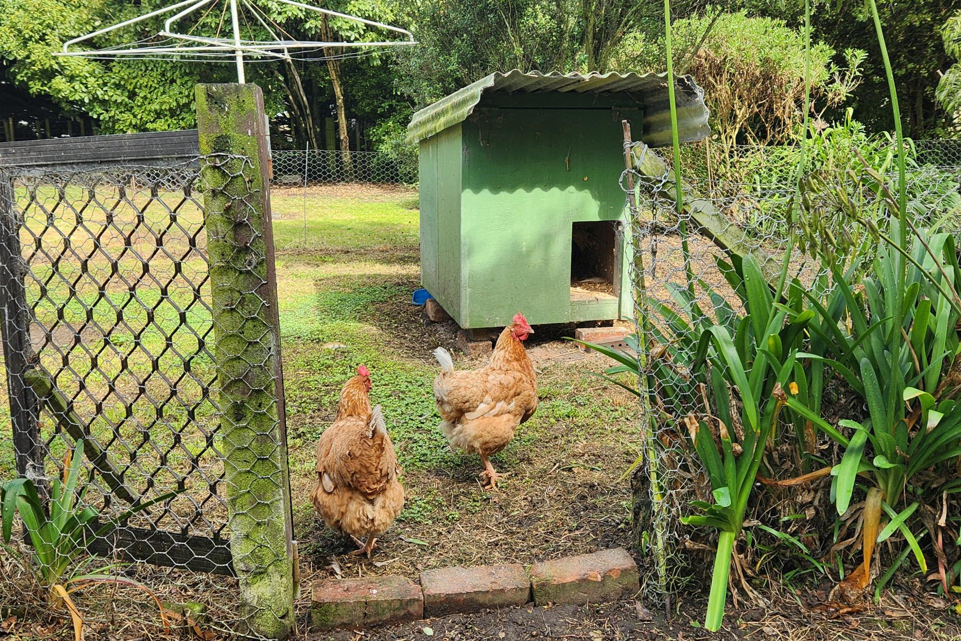 182 Awahuri Feilding Road, Feilding