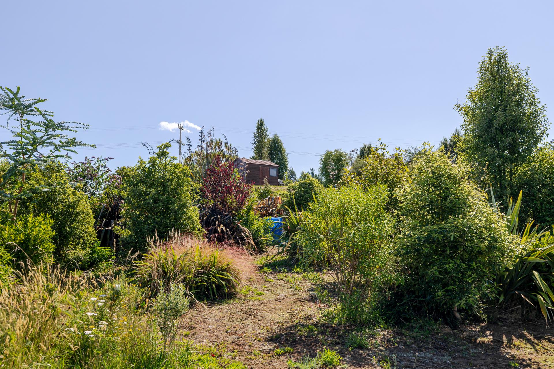 77 High Street, Eketahuna