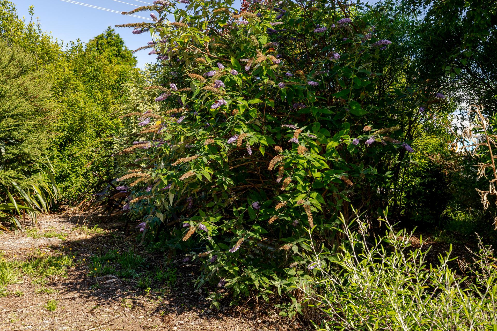 77 High Street, Eketahuna