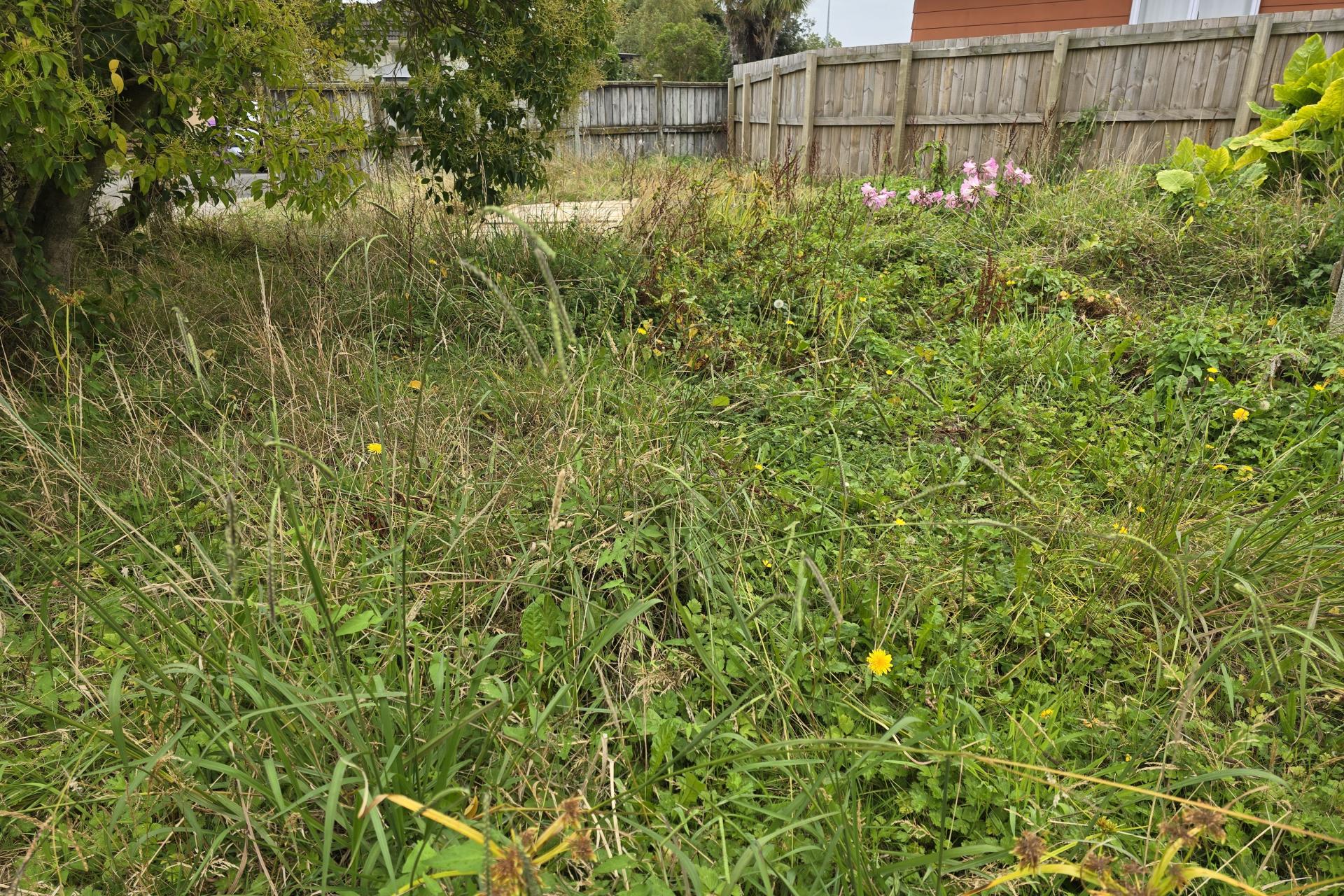 3 Hinton Place, Roslyn