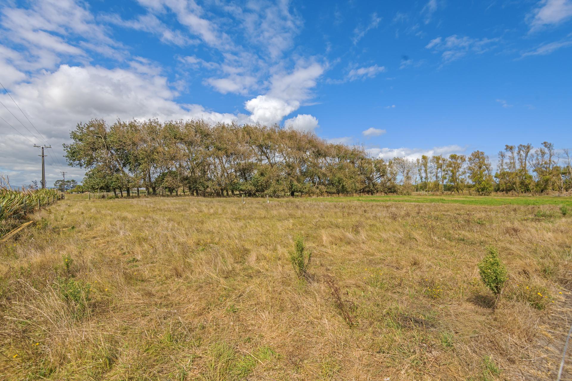 371 Himatangi Beach Road, Himatangi