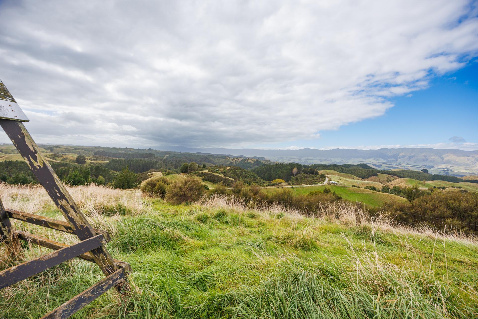 11 Ridge Road, Pohangina