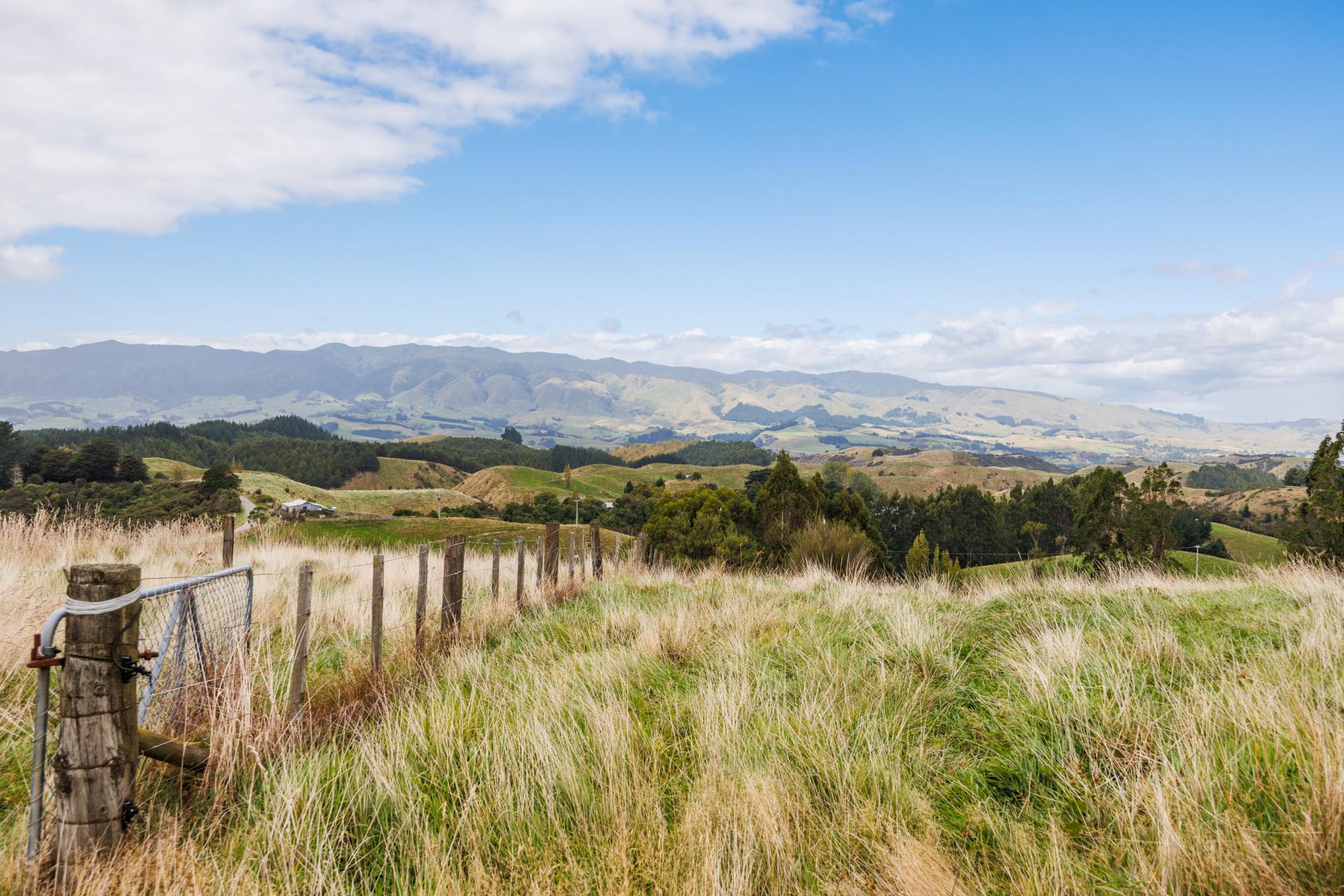 11 Ridge Road, Pohangina