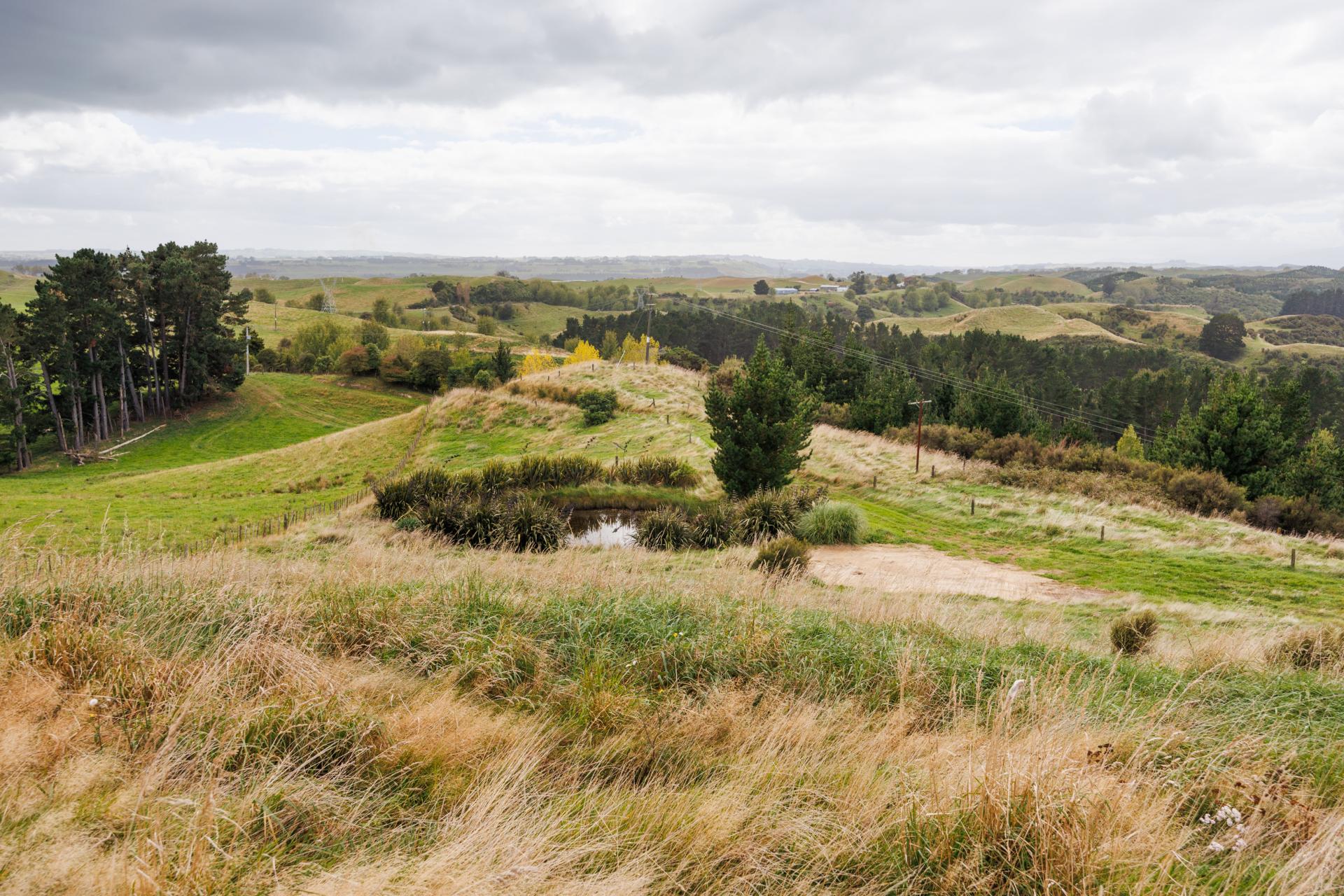 11 Ridge Road, Pohangina