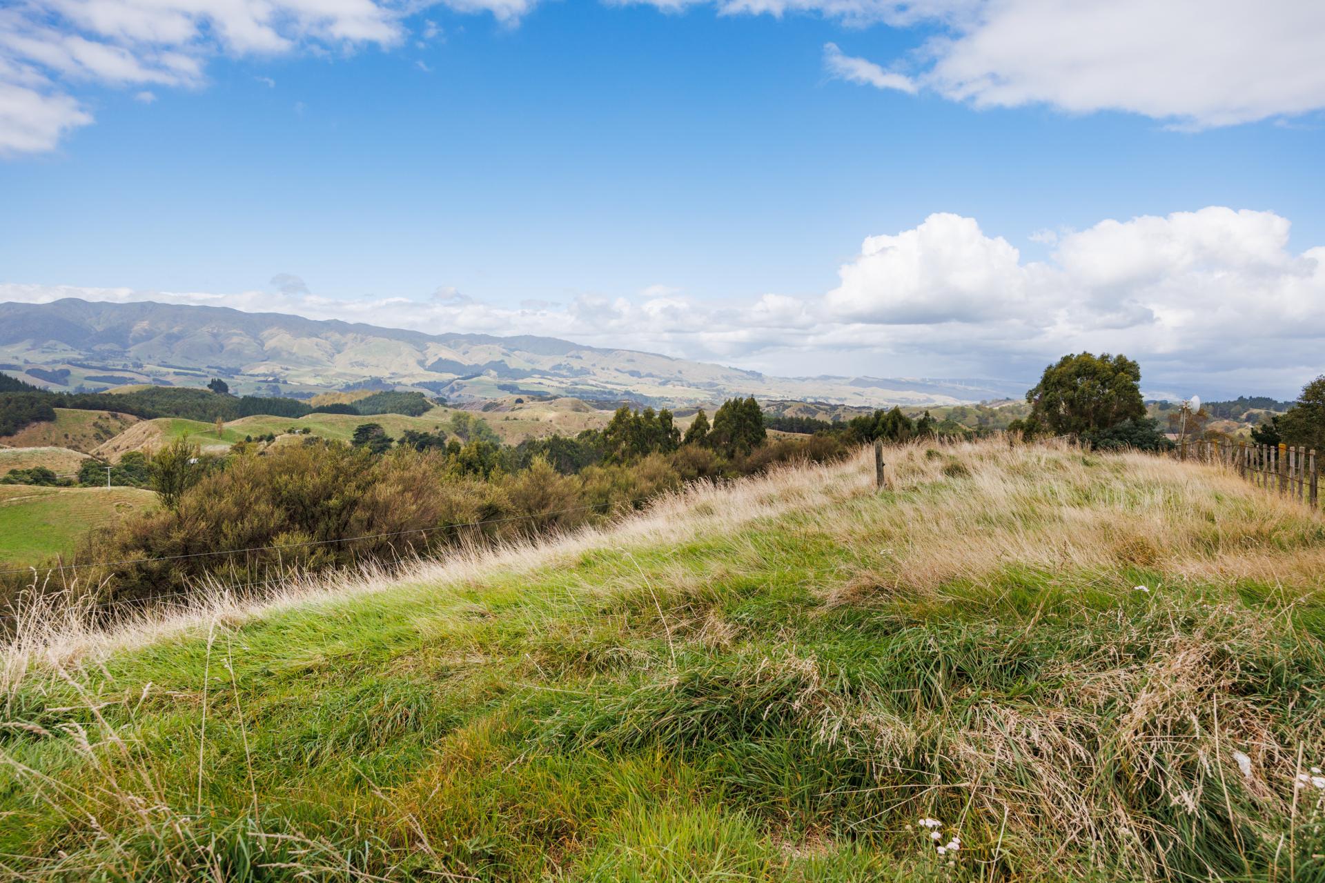 11 Ridge Road, Pohangina