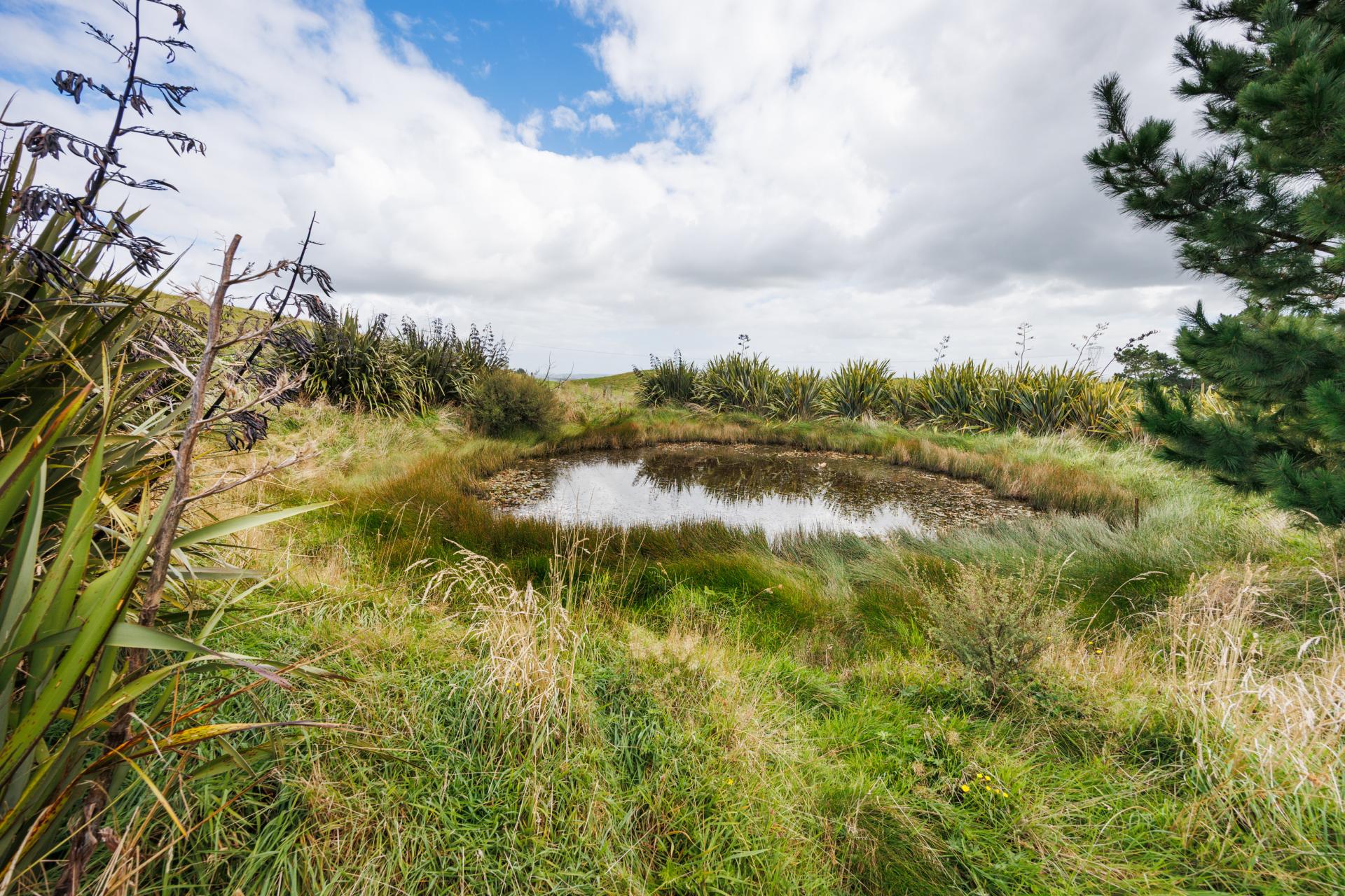 11 Ridge Road, Pohangina
