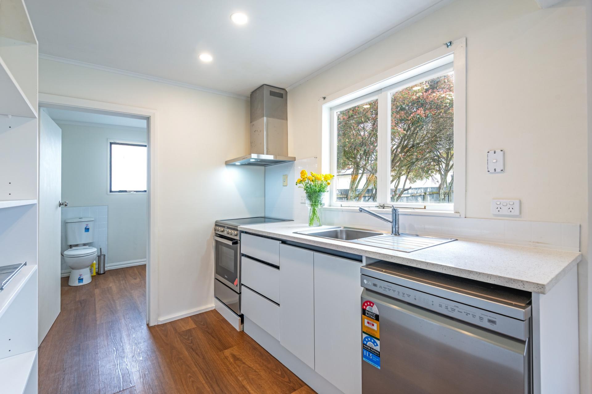 19 Albert Street, Palmerston Nth City