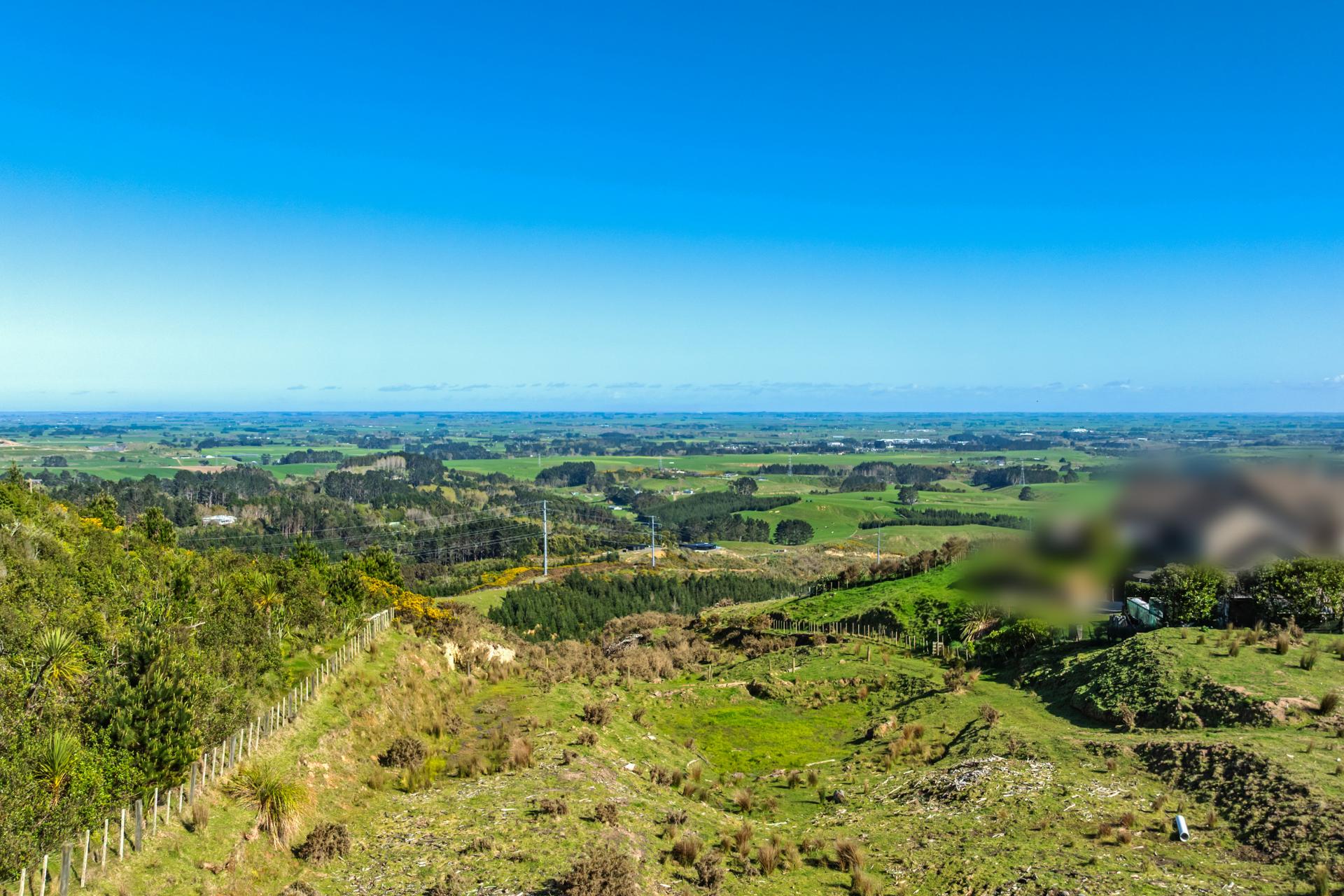 311 Ngahere Park Road, Turitea