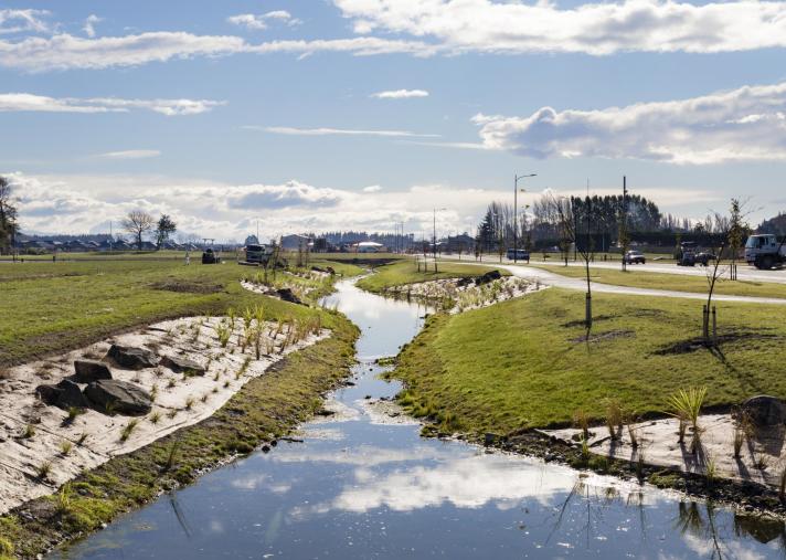 Marshland
