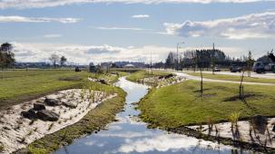 Marshland