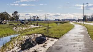 Marshland