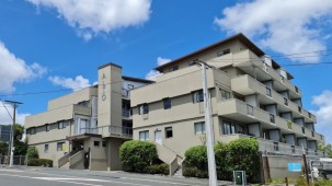 Unit 2L, 21 St Jude Street, Avondale