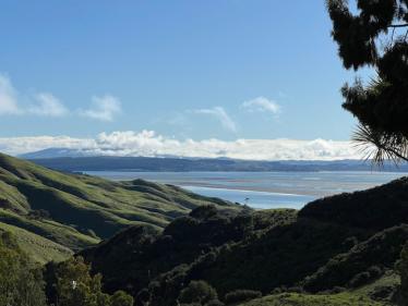 Kawhia