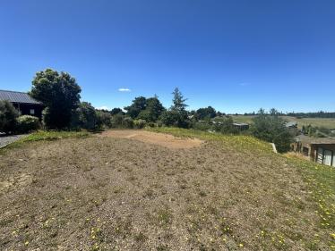 Ohakune