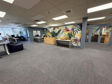 Tauranga
