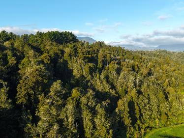 Karamea