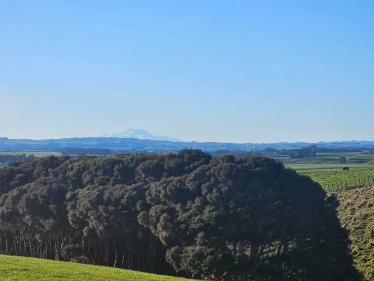 Halcombe