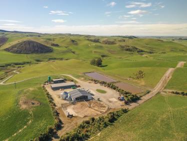 Waimate
