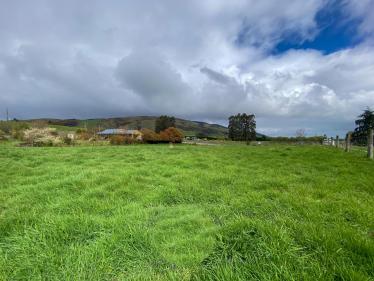 Waikaia