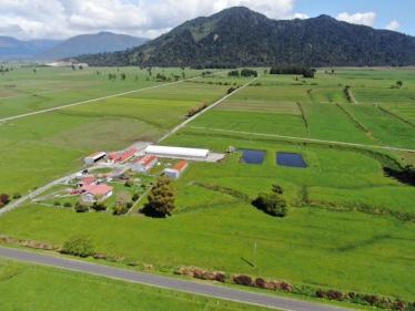 Kowhitirangi