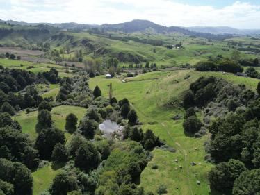 Waimiha