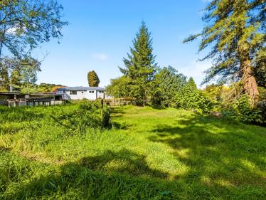 Taumarunui