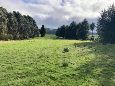 Upper Charlton