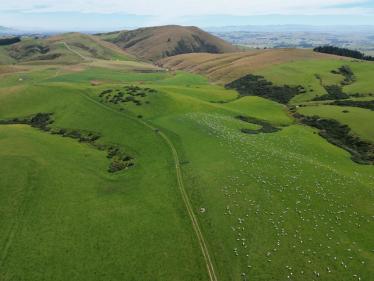 Wairuna