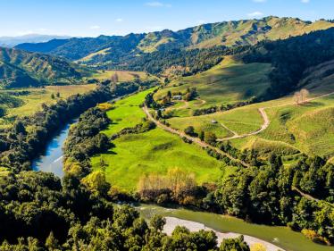 Taumarunui