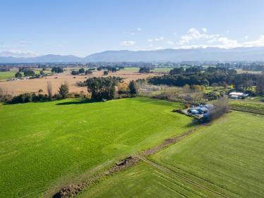 Greytown