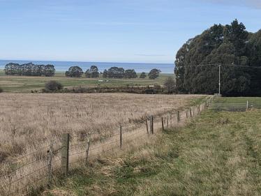 Waianakarua
