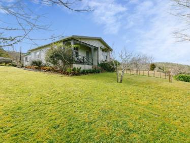 Pukehuia