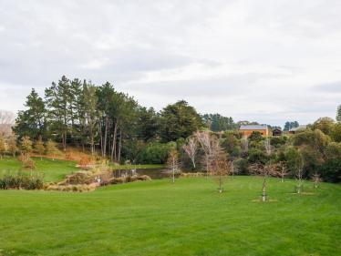 Kelvin Grove