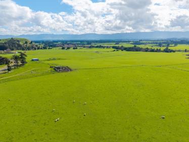 Dannevirke