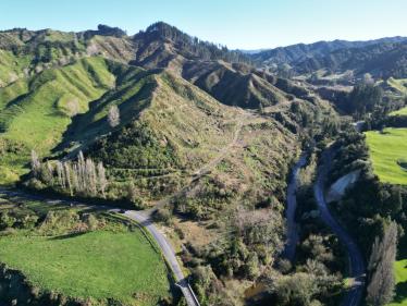 Taumarunui