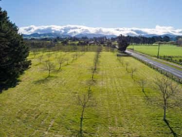 Masterton