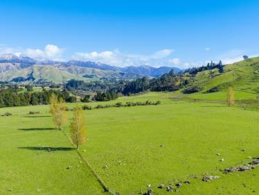 Central Hawkes Bay