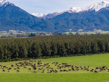 Ashburton