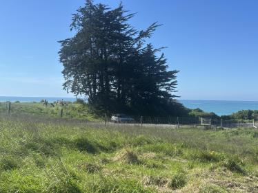 Oamaru