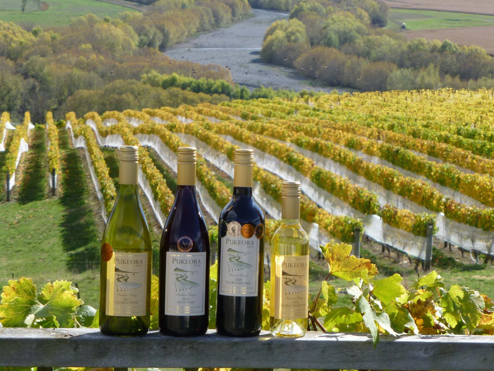 208 Pukeora Scenic Road, Waipukurau