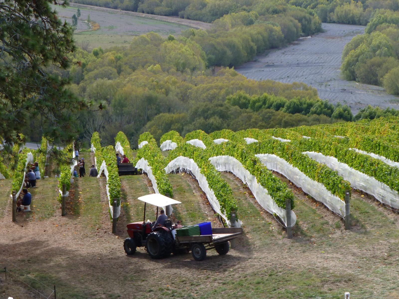 208 Pukeora Scenic Road, Waipukurau