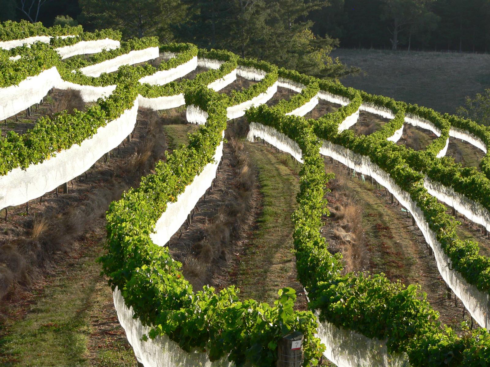 208 Pukeora Scenic Road, Waipukurau